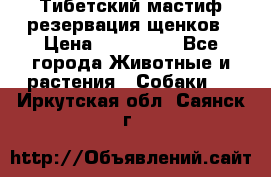 Тибетский мастиф резервация щенков › Цена ­ 100 000 - Все города Животные и растения » Собаки   . Иркутская обл.,Саянск г.